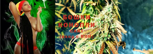 ПСИЛОЦИБИНОВЫЕ ГРИБЫ Алексеевка