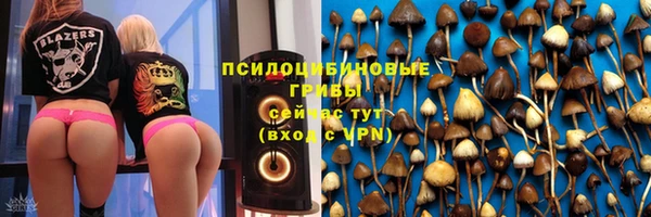 ПСИЛОЦИБИНОВЫЕ ГРИБЫ Алексеевка
