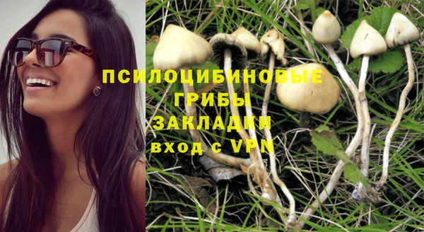 соль ск Алексин
