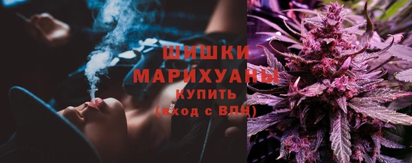 ПСИЛОЦИБИНОВЫЕ ГРИБЫ Алексеевка