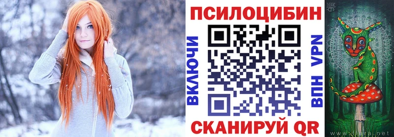 mega ссылки  Петровск-Забайкальский  Галлюциногенные грибы Magic Shrooms  где продают наркотики 